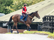 AK021025-8 - Believitanducan